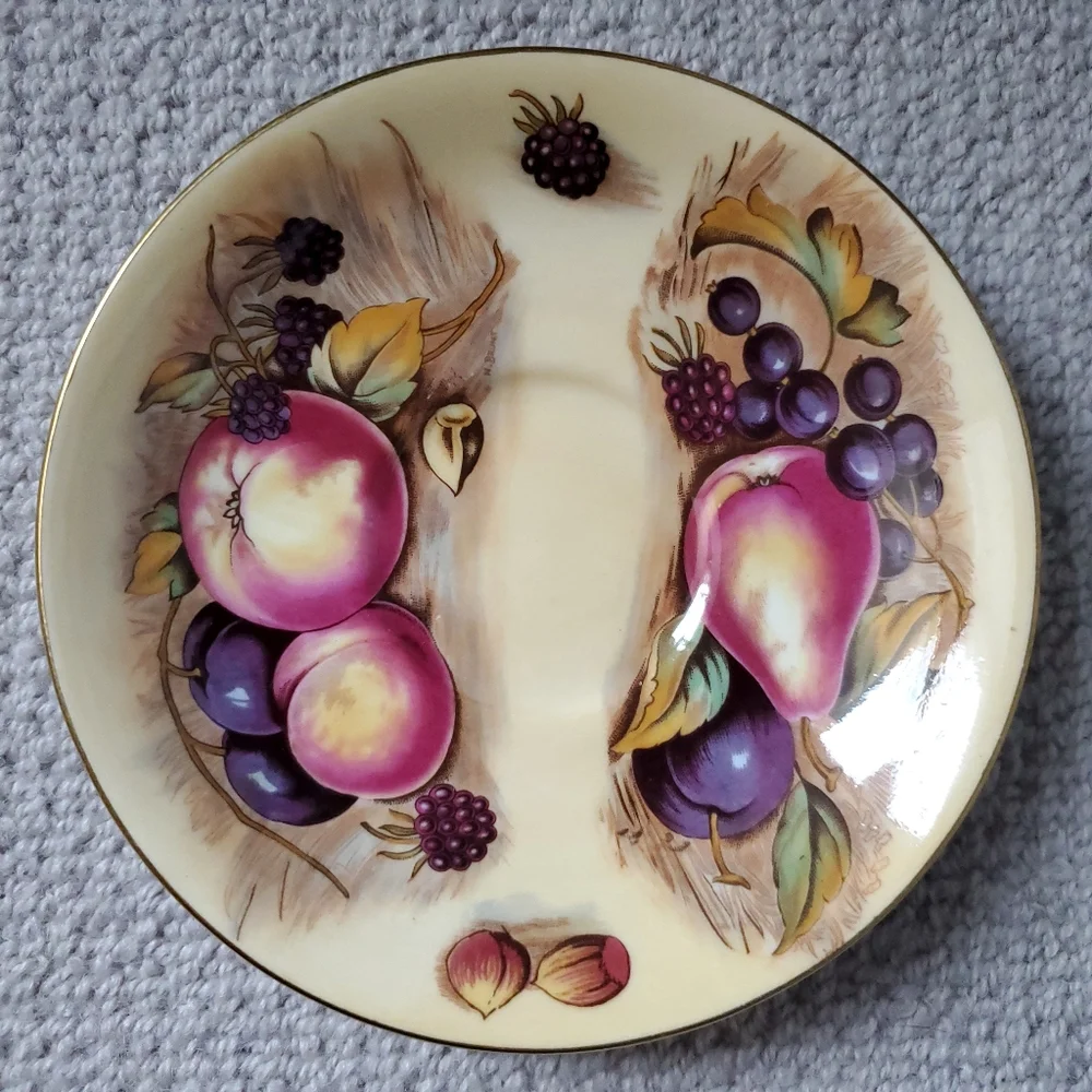 Aynsley Fine English Bone China Orchard Gold Teacup and Saucer